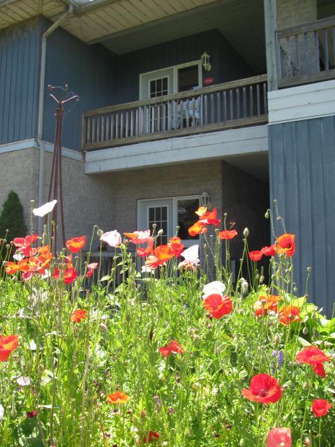 Highlands Four Season Resort Calabogie Zewnętrze zdjęcie